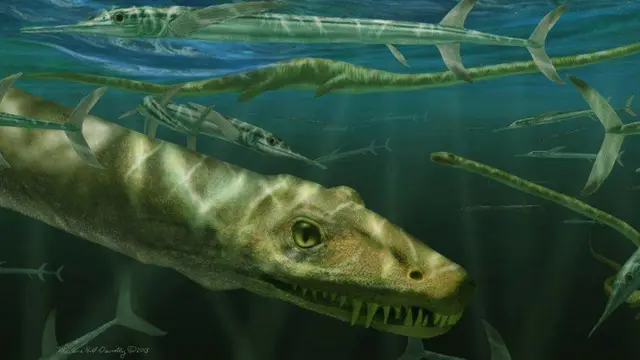 డైనోసర్ శిలాజం