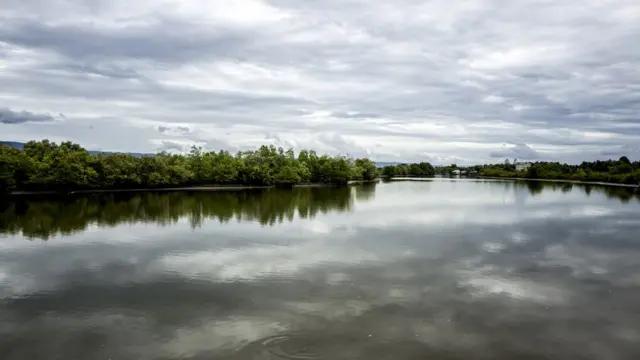 Вид на мангровые заросли в районе Трапанг