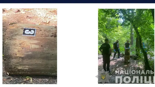 Рядом с телом было обнаружено три пенька