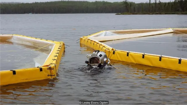 तेल का रिसाव, समुद्र, समुद्री जीव, रिसर्च
