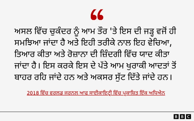 ਚੁਕੰਦਰ