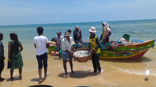 மன்னார் தீவு, காற்றாலை திட்டம், இலங்கை, அதானி