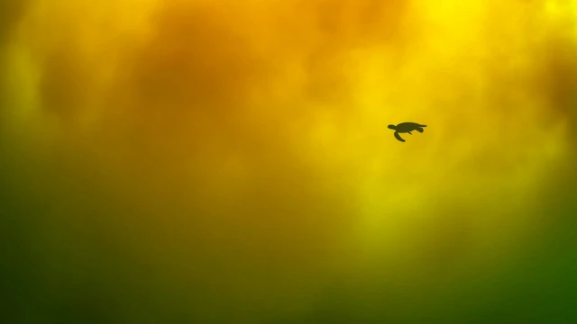 Кадр мінімалістичний: на тлі плавних жовтогарячих і зелених барв – силует черепахи, яка рухається спокійно й самотньо.