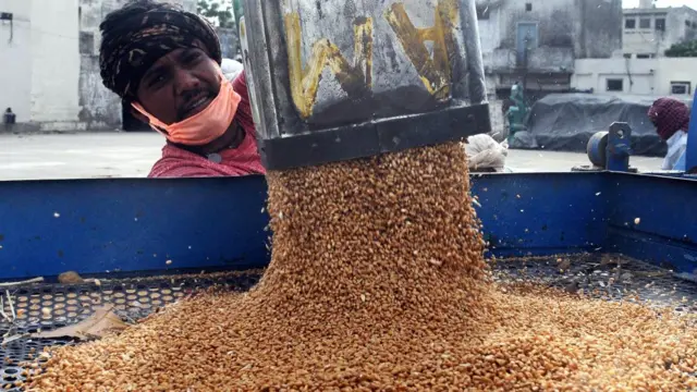 ઘઉં ઠાલવતા વેપારીની તસવીર