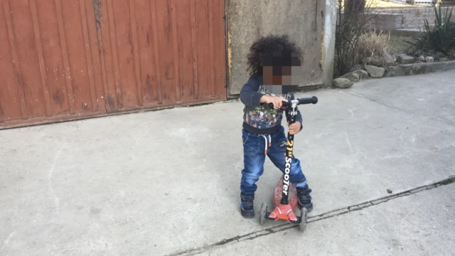 Hraniteljske porodice u Srbiji