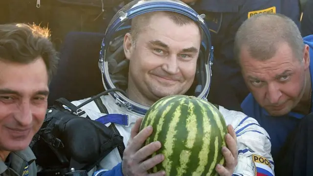 melon