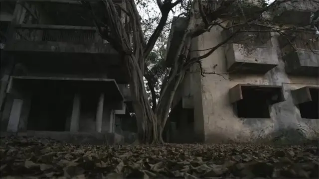 గుల్బర్గ్ సొసైటీ