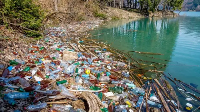 Сміття на березі водосховища на річці Теребля Теребле-Ріцької ГЕС поблизу села Вільшани, Хустський район