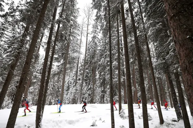 Биатлонисты бегут по лесной трассе

