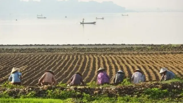 တပ်ကစွန့်လွှတ်လိုက်တဲ့ မြေတချို့ရဖို့ တိုင်းအစိုးရက လယ်သမားတွေနဲ့ ဆွေးနွေးခဲ့ပေမယ့် မအောင်မြင်ခဲ့ပါဘူး။