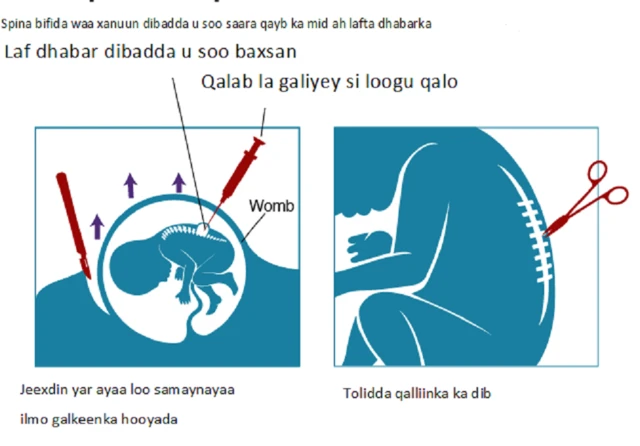 Seks filmlarda rus aktrisalar Porno yol boyi fohisha bir shisha bilan ozini sikish