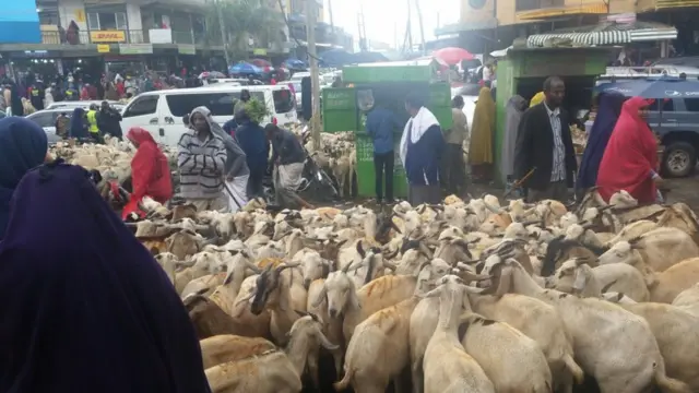 Dadka xoolaha ka baayac mushtara suuqa ayey keeneen ari si ay uga faa'iidaystaan iidda.