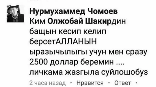 Журналист анын башы үчүн социалдык желелерде радикал динчилдер акча сайганын айтууда