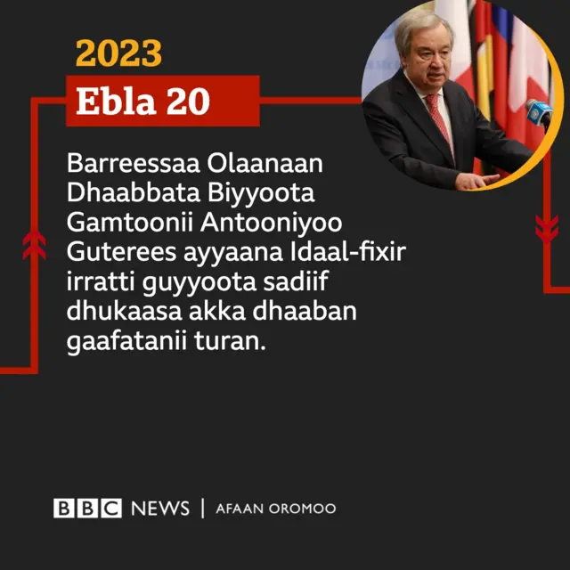 Barreessaa olaanaa UN