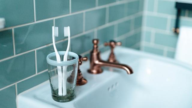 Escovascassino que ganha dinheiro no cadastrodentes juntas