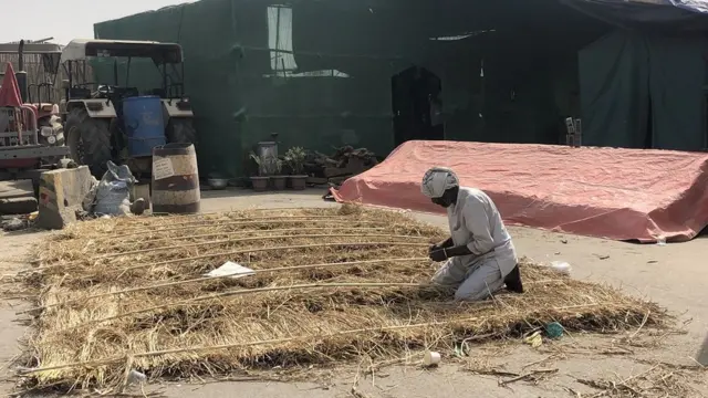 ਕਿਸਾਨ ਅੰਦੋਲਨ