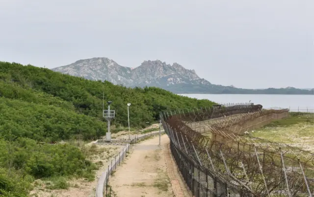 المنطقة الخالية من السلاح والتي تقسم الكوريتين