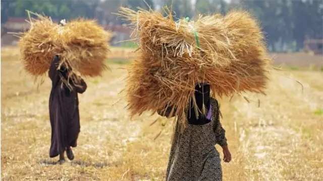 Kilimo cha nchini Ethiopia kinategemea maji ya mto Nile