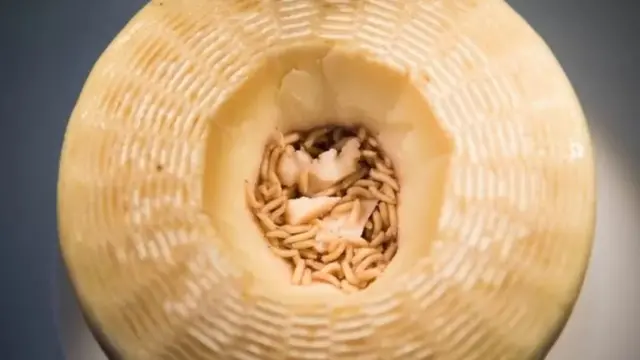 காசு மார்ஸ் சீஸ்