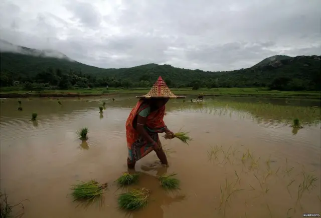 भारतीय किसान