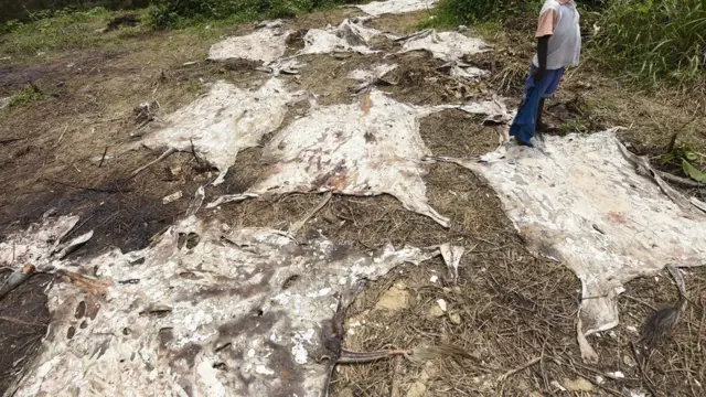 गधे की खाल