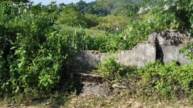 ఏనుగులు ధ్వంసం చేసిన ఒక గోడ