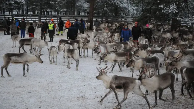 illaa 300,000 biciid ah ayaa dalka Finland ku nool oo la dhaqdaa