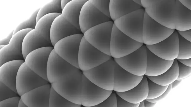 แบบจำลองโมเลกุลแสดงให้เห็นส่วนหนึ่งของโครงสร้างรูปกรงของคาร์บอนนาโนทิวบ์