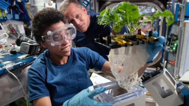 अंतरिक्ष