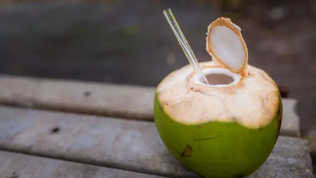 కొబ్బరి బోండం