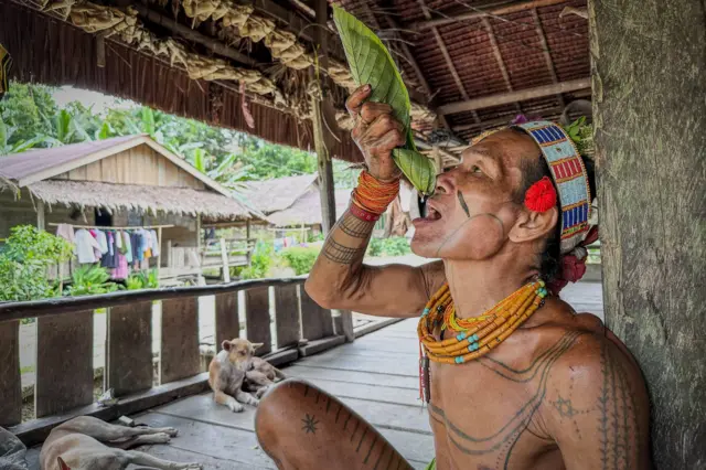 sikerei, mentawai