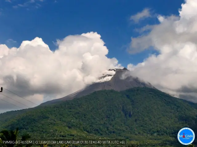 Visual Gunung Lewotobi laki-laki, Selasa (30/01) dari depan Pos PGA Lewotobi laki-laki.
