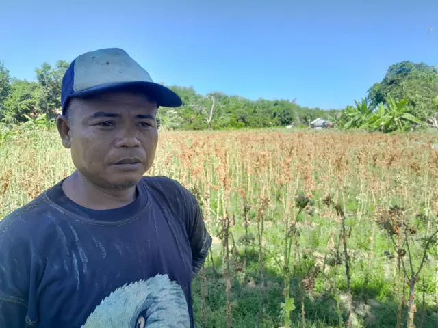 Samukti, 45 tahun menyebut hasil bertani tidak mampu mengubah kehidupannya, dan hanya cukup untuk makan sehari-hari.