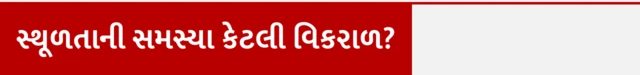 સ્થૂળતાની સમસ્યા કેટલી વિકરાળ? ખાવાના તેલથી વજન વધે, ખાવામાં કેટલું તેલ વાપરવું, કેવા પ્રકારનું તેલ વાપરવું જોઈએ, તલનું તેલ, રાઇસ બ્રાન તેલ, મગફળીનું તેલ, કપાસિયા તેલ, બીબીસી ગુજરાતી સાથે સમજો, બીબીસી ગુજરાતી, બીબીસી ન્યૂઝ ગુજરાતી