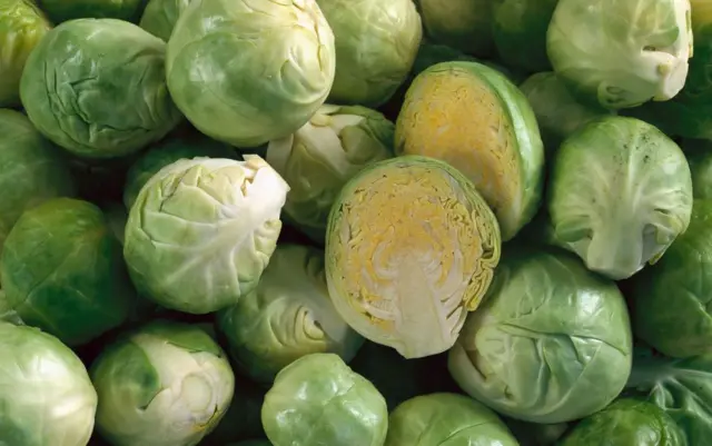 Choux de Bruxelles, dont un coupé en deux