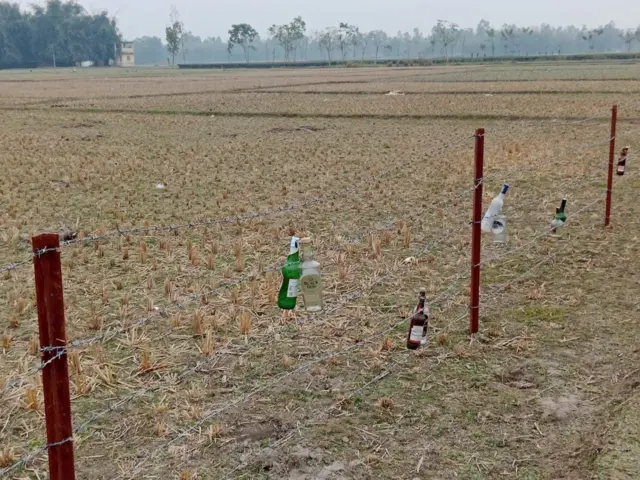 সীমান্তের শূণ্যরেখায় যে এক-সারি কাঁটাতারের বেড়া দিয়েছে বিএসএফ, সেখানে ঝোলানো কাচের বোতল