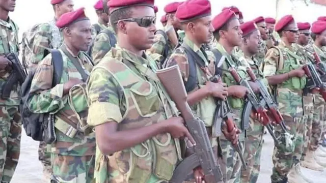 Maxaan ka ognahay ciidamada la wareegaya amniga Villa Somalia? - BBC News Somali