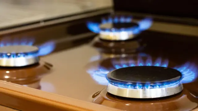 ਐਲਪੀਜੀ ਗੈਸ ਸਿਲੰਡਰ ਦੀ ਸੰਕੇਤਿਕ ਤਸਵੀਰ