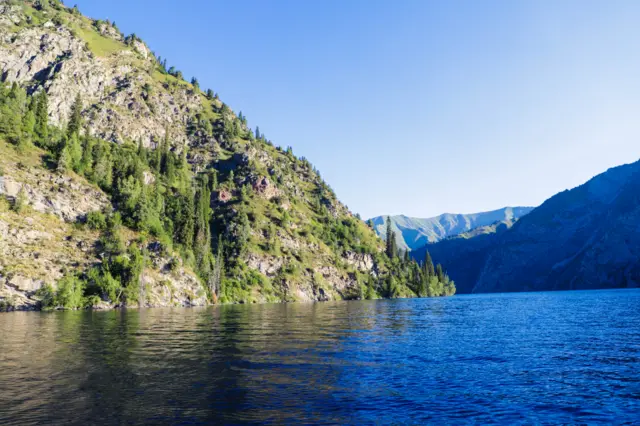 Куйкалаган аптапта тоонун жели, Сары-Челектин деми болсо...