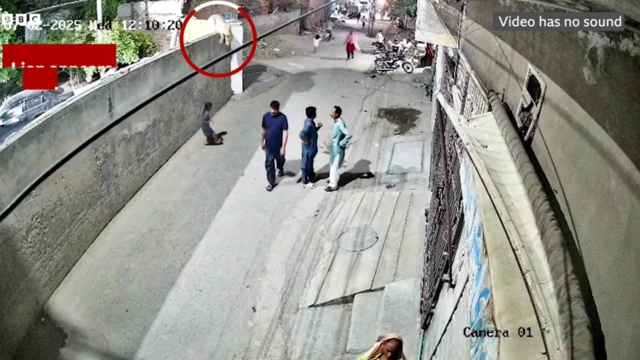 తప్పించుకున్న సింహం