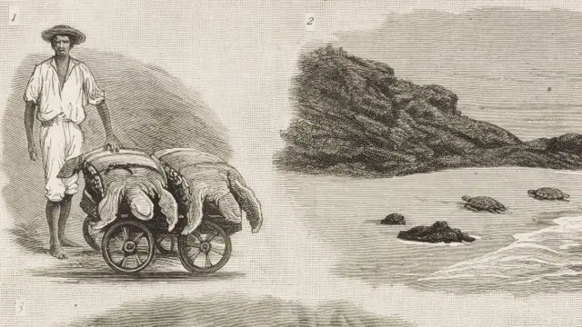 ઇન્ટરનેશનલ લેસ્બિયન, બીબીસી ગુજરાતી, ઇતિહાસ, નિર્જન ટાપુ, રોબિન્સન ક્રૂઝો, બ્રિટિશ, ભારત