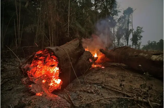 View of fire in the Amazon rainforest, near Abuna, Rondonia state, Brazil, on August 24, 2019