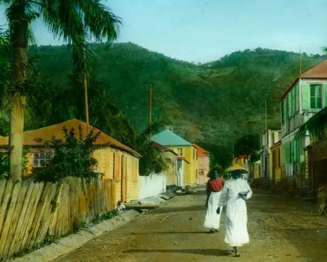 Dadka asaliga ah ayaan wax talo ah laga siin iibinta jasiiradahaas laga iibinayo Maraykanka.
