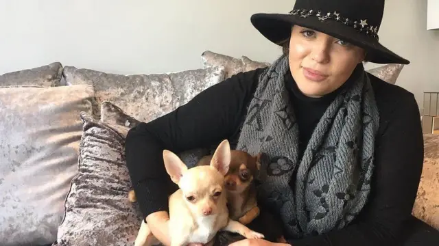 فی راجرز و سگ‌هایش