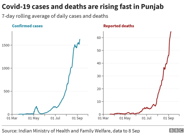 A chart showing daily increase in cases and deaths in Punjab.
