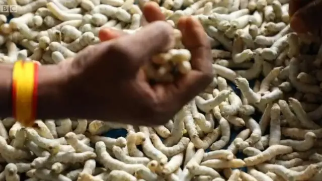 ভারত ব্যাঙ্গালোর পানি