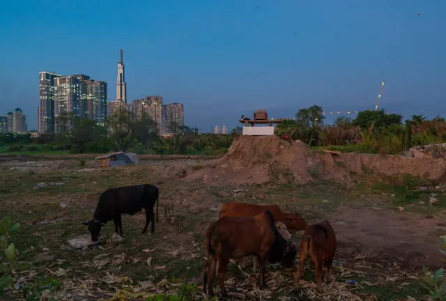 giau hay ngheo