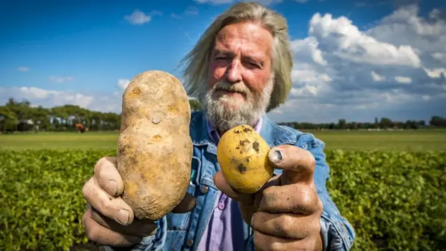 Campesino holandés mostrando sus papas