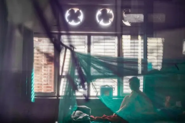 डेङ्गीको बिरामी