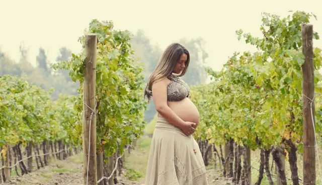 Mujer en embarazo en un viñedo